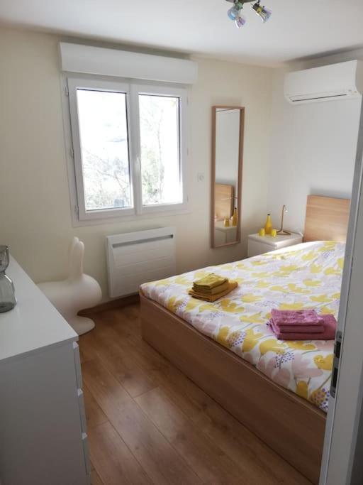 Balcons Du Royans.Logement Entier Piscine Сан-Жан-ан-Ройан Екстериор снимка
